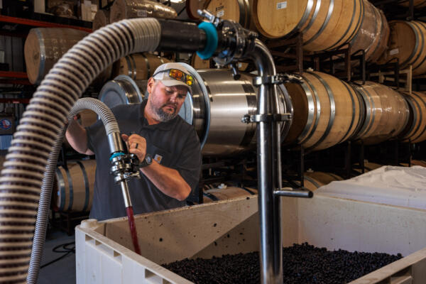 person in winery making wine
