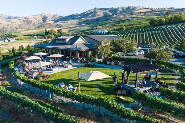 View of winery building and vineyards